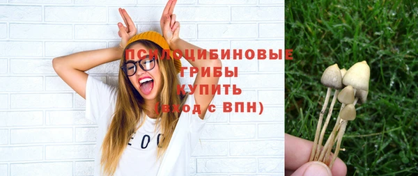 ECSTASY Дмитровск