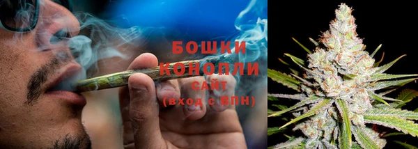 мяу мяу кристалл Дмитров