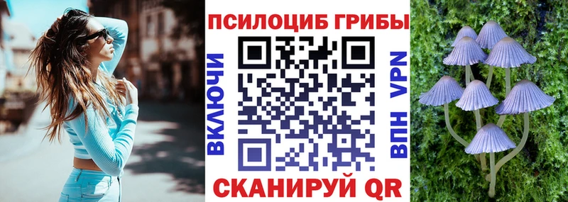 МЕГА как войти  Онега  Галлюциногенные грибы ЛСД 